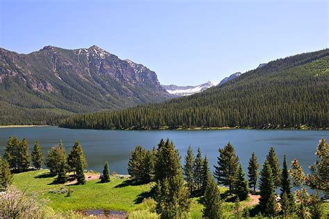 US National Forests of Montana - WorldAtlas