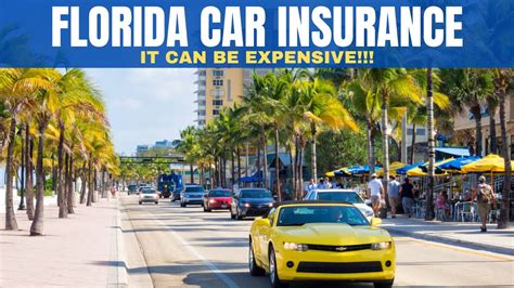 CAR INSURANCE IN FLORIDA! | Tampa Bay FL - YouTube