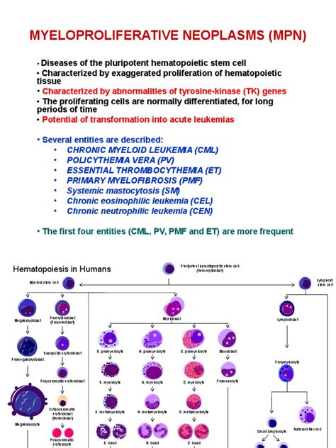 5 Myeloproliferative Neoplasms | PDF | Hematology | Blood