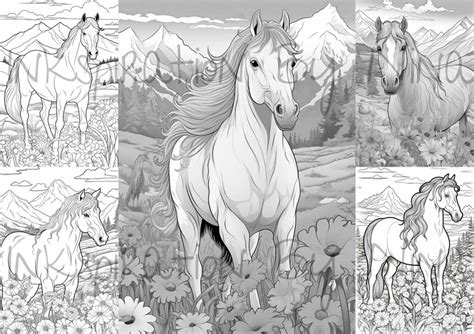 Horse on A Flower Meadow Field Coloring Pages, 25 Premium Adult Kids Coloring Sheets, Coloring ...