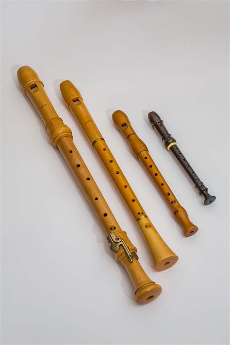 Flute Types | Flute instrument, Music appreciation, African music