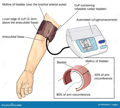 Blood pressure measurement stock vector. Image of cuff - 58930640