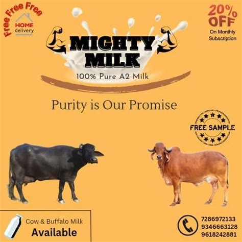 Buffalo Milk at Rs 120/litre | Buffalo Milk in Hyderabad | ID ...