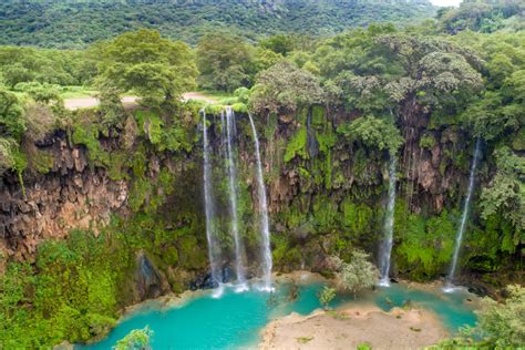 Khareef season in Salalah, Oman - the Scoop UAE - ENTERTAINER