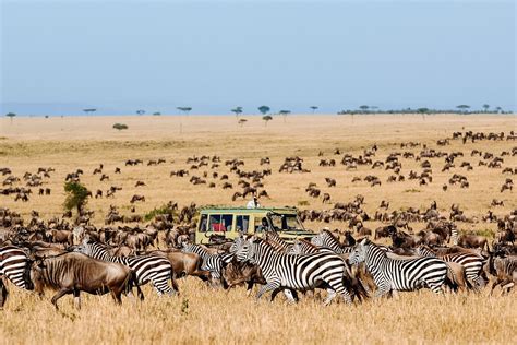 Design your Serengeti safari online | Timbuktu Travel