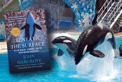 Book Review: Behind the doors of theatrical killer whale shows - Books ...