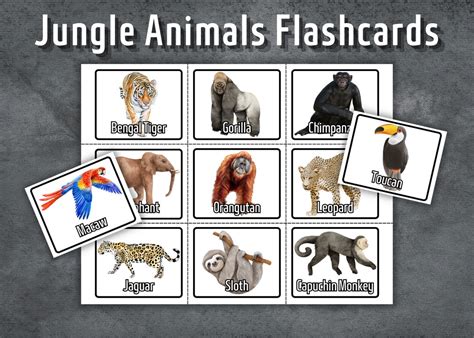 Jungle Animals Flashcards Preschool Flashcards Printable - Etsy