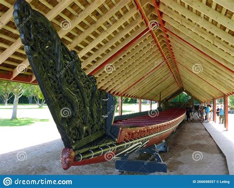 Maori Canoe at Waitangi New Zealand Editorial Photography - Image of north, tree: 266698557