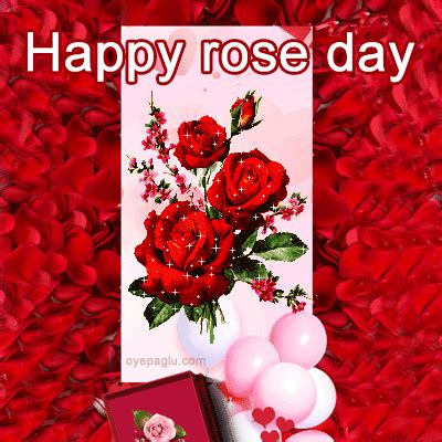 Latest 50+ Rose day images download with DP size gif and HD pics