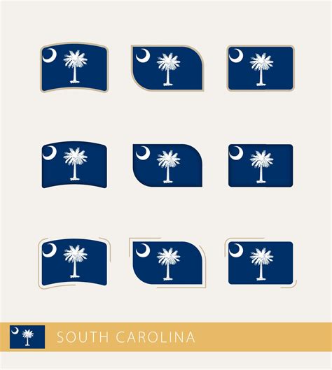 Vector flags of South Carolina, collection of South Carolina flags ...