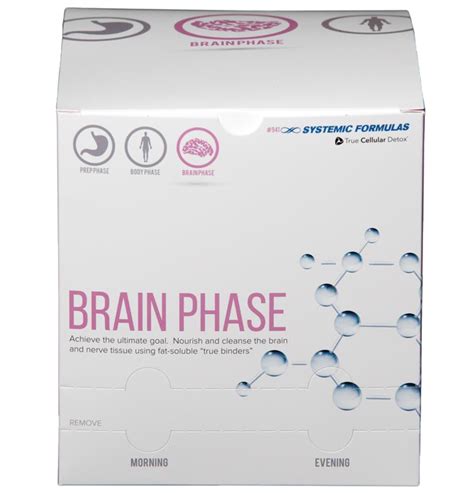 Systemic Formulas Brain Phase | Blades Wellness Cypress, TX