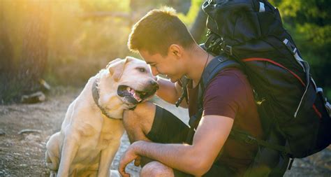 Hiking With Your Dog: Tips For Hitting The Trail In A Safe And Fun Way | peacecommission.kdsg.gov.ng