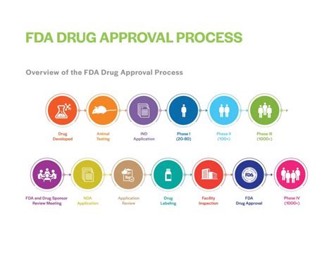 Clinical Research Phases and the Path to Drug Approval - Imperial ...