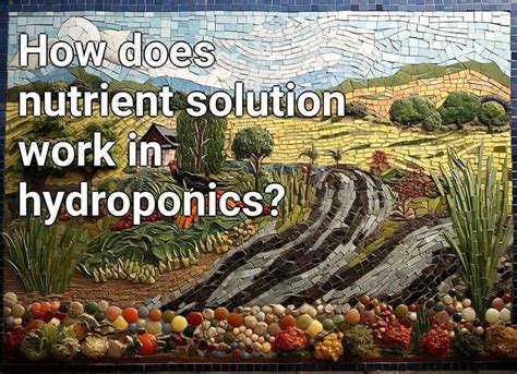 How does nutrient solution work in hydroponics? – Agriculture.Gov.Capital