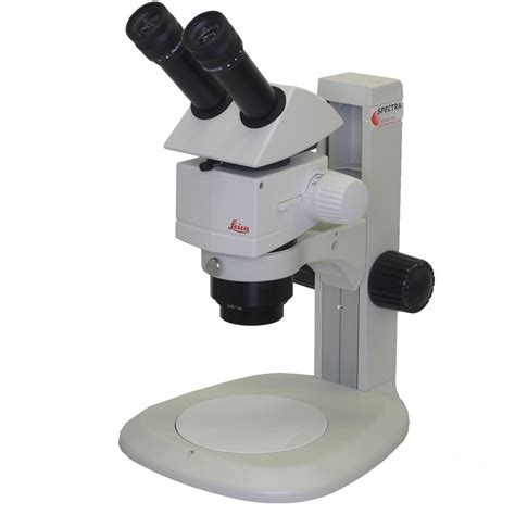 Leica M60 Stereo Microscope on Table Stand Lab Equipment | Spectra Services