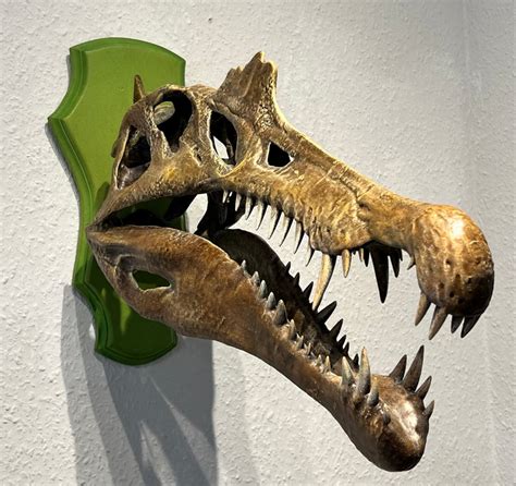 Wallmounted Spinosaurus Aegyptiacus 1915 Skull Replica - Etsy