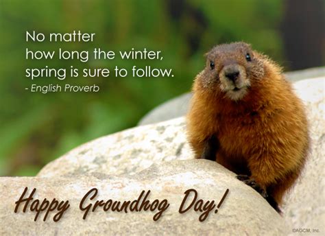 Happy Groundhog Day - Prompt Proofing