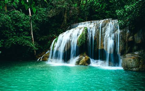 Waterfall Wallpaper, Jungle House, Forest Waterfall, Secret Forest ...