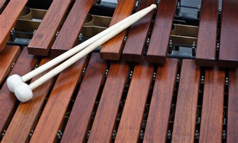 The Xylophone - A Pitched Percussion Instrument - Phamox Music