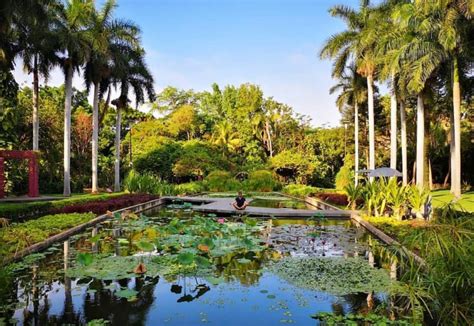 Jardín Botánico de Culiacán: oasis que combina la naturaleza con el arte - Noro