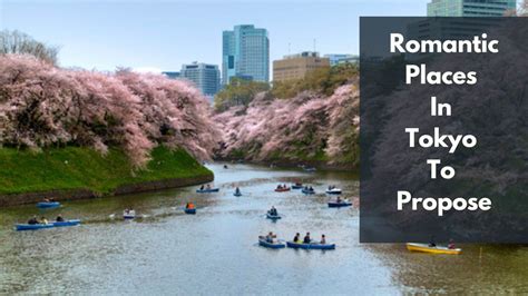 25 Most Romantic Places To Propose In Tokyo | Where To Propose In Tokyo? - Dear Japanese