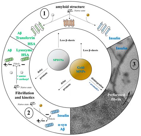 Nanomaterials | Free Full-Text | Magnetic Nanoparticles Applications ...