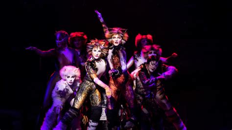 Cats (Touring) | Playbill