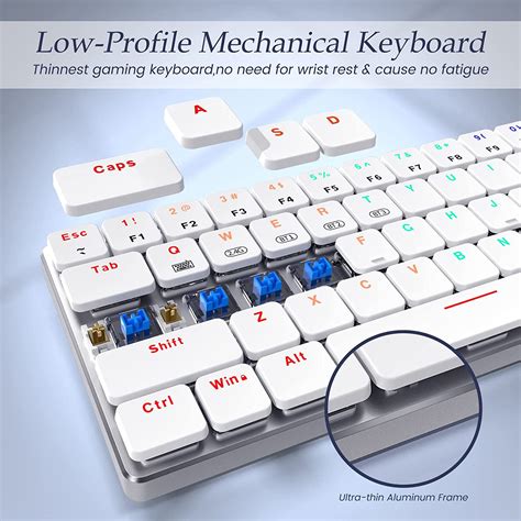 RisoPhy RGB Wireless Keyboard,60% Mechanical Gaming Keyboard with Metal Base,2.4G/Type-C ...