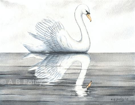 Watercolor Painting "Swan and its Reflection in Calm Water" - A B Foley