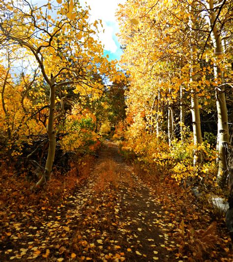 Find Fall Colors and Inner Peace - Eastern Sierra Land Trust