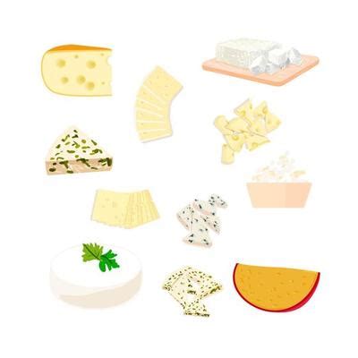 Cheese Types Vector Art, Icons, and Graphics for Free Download