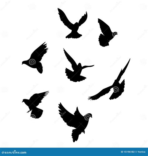 Dove. Silhouette. Pigeon - A Symbol Of Peace. Drawing With White Lines ...