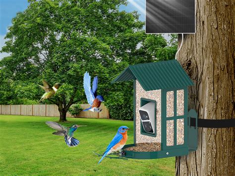 SOLIOM BF08-Smart Bird Feeder Camera with AI Identify Bird Species,5W – Soliom Solar Home Security