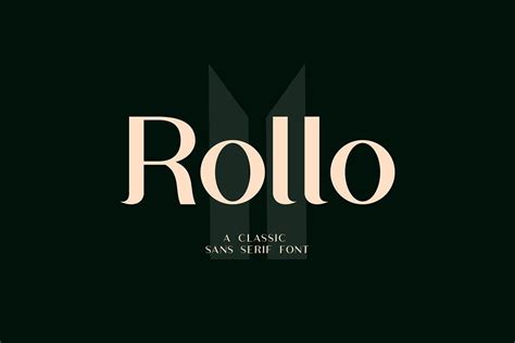 Rollo Classic Sans Serif Font | Sans serif fonts, Classic sans serif ...