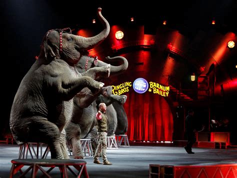 Why America's most famous circus was destined to fail | The Independent