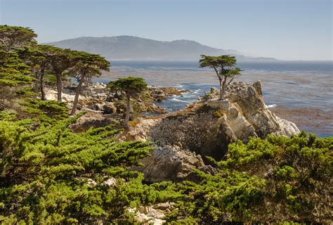 17 Mile Drive, Pebble Beach - California Beaches