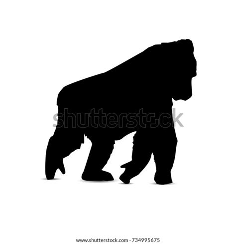 Silhouette Walking Gorilla Stock Vector (Royalty Free) 734995675 ...