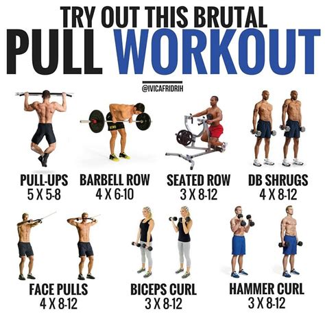 PULL WORKOUT | Pull day workout, Workout, Exercise