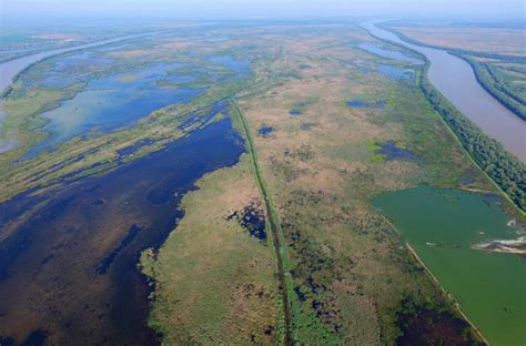 The Danube Delta rewilding area expands into Ukraine | Rewilding Europe