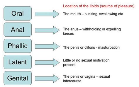 Freud's Stages of Psychosexual Development Diagram | Quizlet