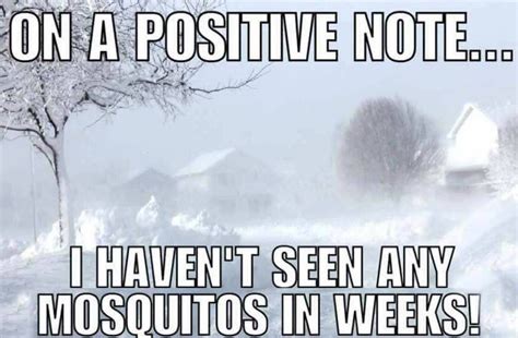 Pin by Justine Smith on Just for Laughs | Weather quotes, Cold weather funny, Winter humor