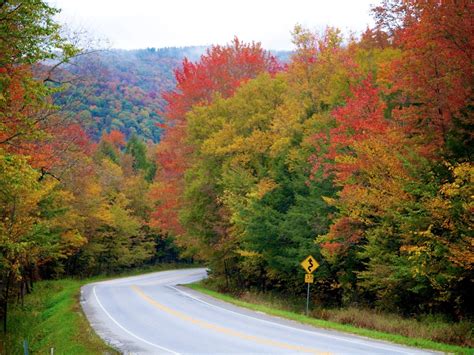 Best US road trips for fall - Business Insider