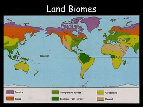 Temperate Deciduous Forest World Map – Interactive Map