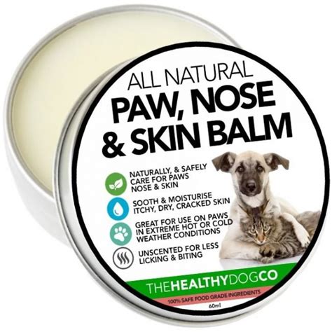 What can i give my dog for pain? Natural Pain Relief for Dogs - The ...