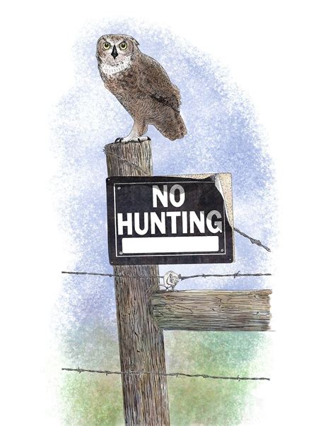 Download Owl, No Hunting Sign, Bird. Royalty-Free Stock Illustration ...