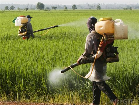 Why Nigeria needs to stop pesticide importation - AGRO NEWS NIGERIA