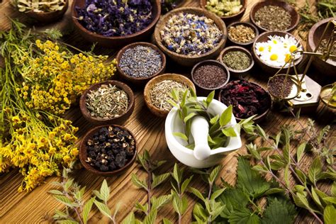 Herbal Medicines from Mexico – Mexperience