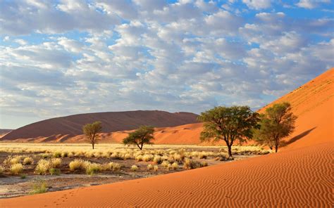 Namib-Naukluft National Park Wallpapers - Wallpaper Cave