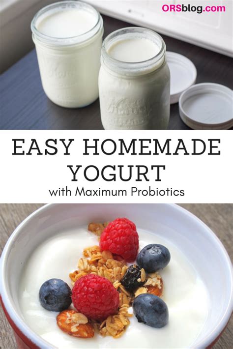 Recipe: How to Make Homemade Yogurt for Maximum Probiotics - ORSblog.com