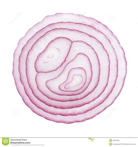 Cut onion clipart - Clipground